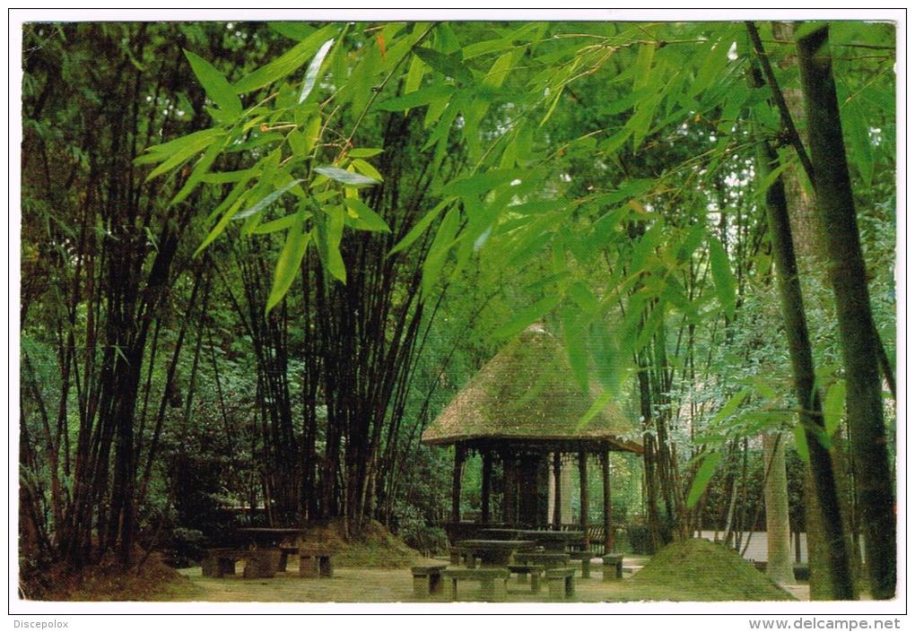 M868 China - Chengdu - Du Fu 's Thatched Hut / Viaggiata 1985 - Chine