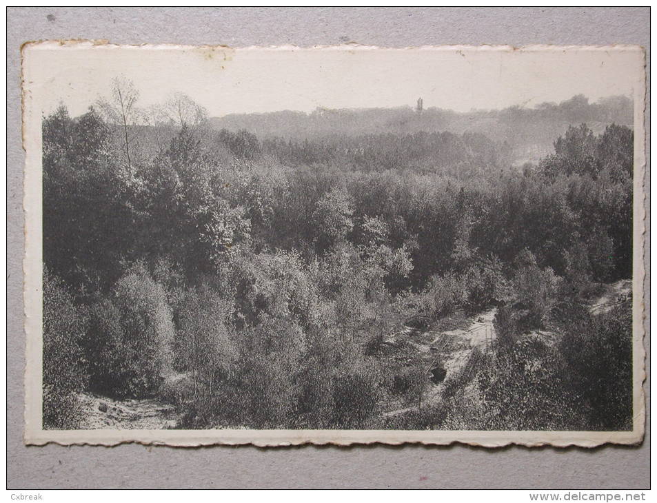 Gistoux, Carrière Abandonnée - Chaumont-Gistoux