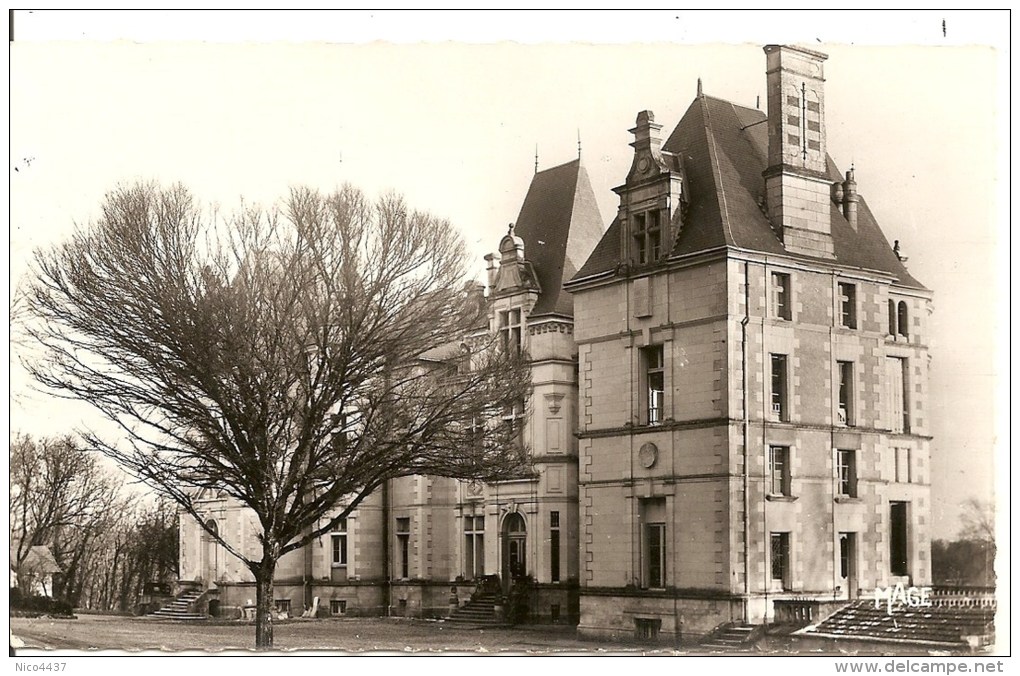 Cpsm Vouneuil Sous Biard Chateaude Boivre - Vouneuil Sous Biard