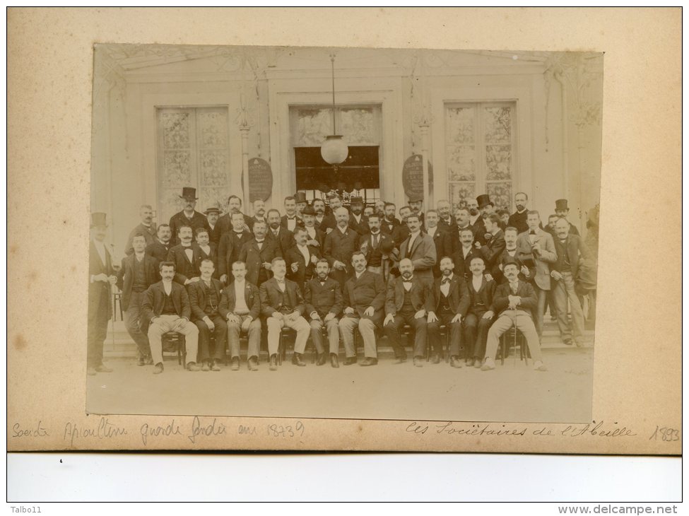 Lot De 3 Photos , Collées Sur Un Carton Rigide - Societaires De L'abeille - Mr Rougé Velo - Mme Vaillard - Autres & Non Classés