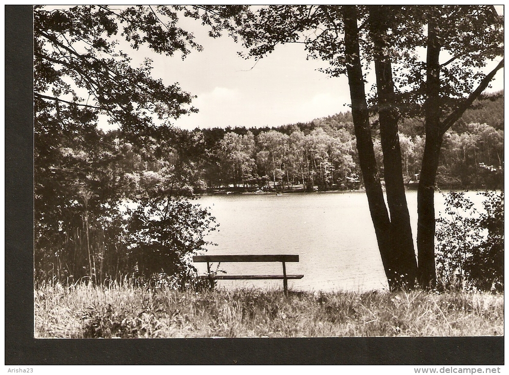 5k. Germany, Photo Postcard - Lehmann, Frankfurt (Oder) - Park River Lake Wood - Frankfurt A. D. Oder
