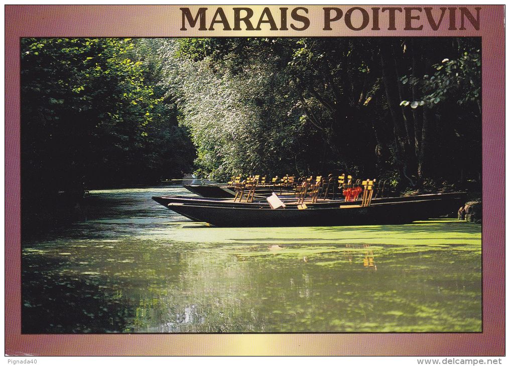 Cp , RÉGIONS , POITOU-CHARENTES , Le Marais Poitevin - Poitou-Charentes