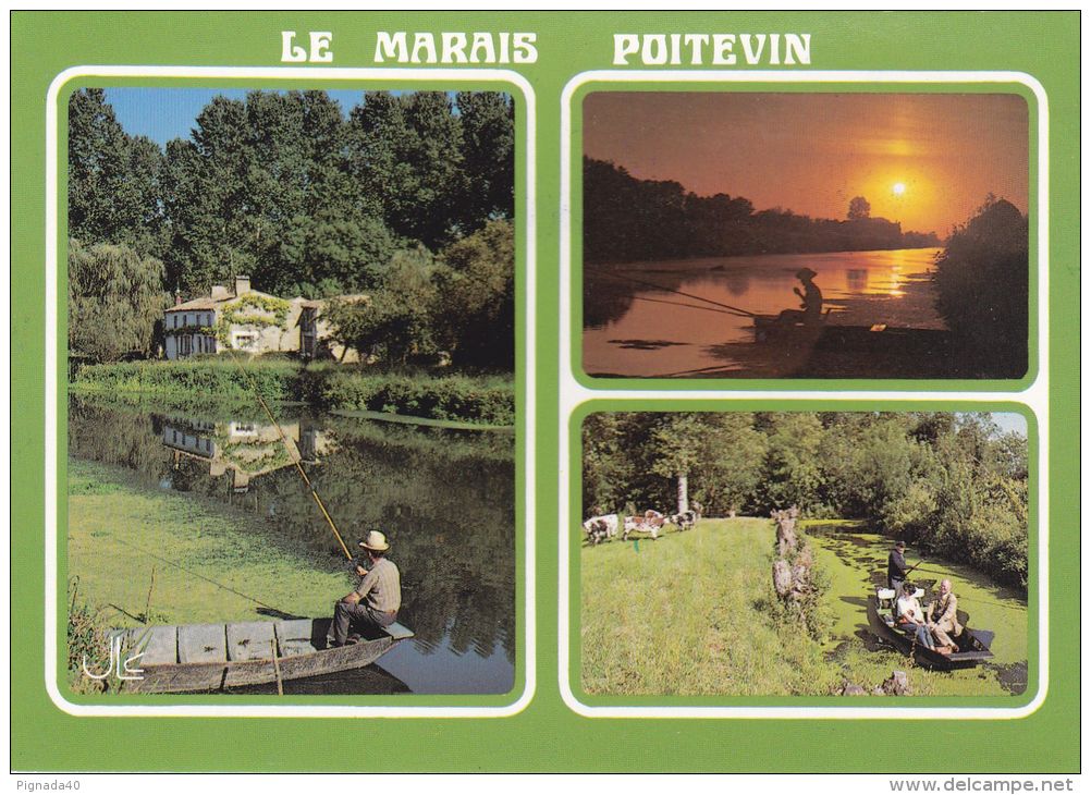 Cp , RÉGIONS , POITOU-CHARENTES , Le Marais Poitevin , Multi-Vues - Poitou-Charentes