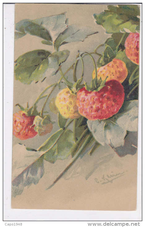 CARD KLEIN FRAGOLE   -FP-N-2- 0882-19065 - Klein, Catharina