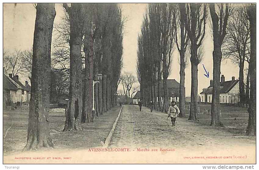 Nov13 134 : Avesnes-le-Comte  -  Marché Aux Bestiaux - Avesnes Le Comte