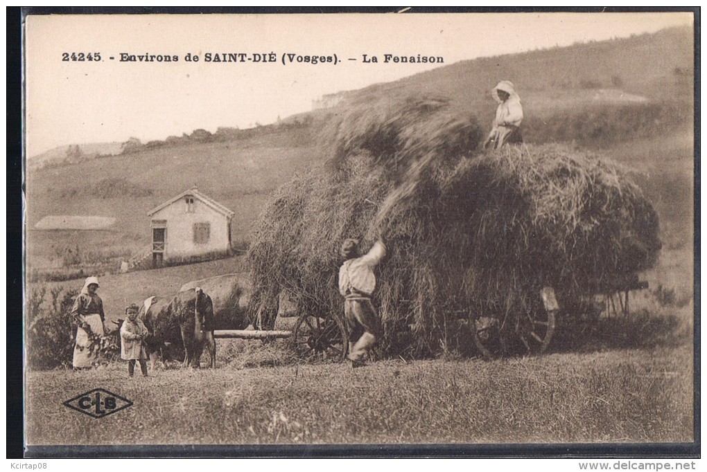 Saint - Dié . La Fenaison . - Saint Die