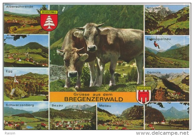 Autriche  Grusse Aus Dem  Bregenzerwald  Multi Vues  TBE - Bregenzerwaldorte