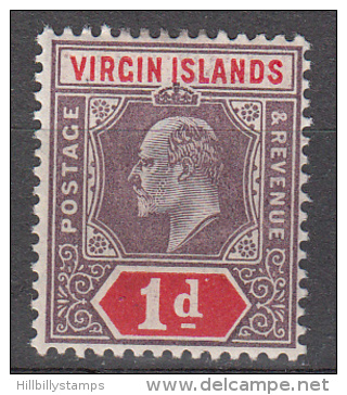 Virgin Islands   Scott No. 30  Unused Hinged   Year  1904 - Iles Vièrges Britanniques