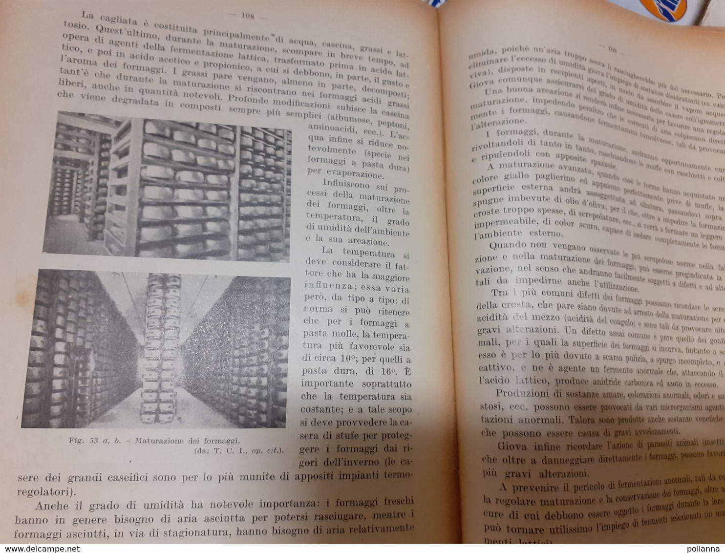 PFQ/35 E.Buffa TECNOLOGIA RURALE Paravia Ed.1947/ENOLOGIA/OLEARIA/CASEARIA/ZOOTECNIA - Altri & Non Classificati