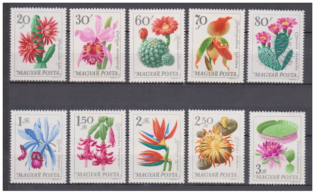 Hungary, Magyar Posta, 1965, Flowers, Orchid, Cactus, Lilly, MNH, *** - Andere & Zonder Classificatie
