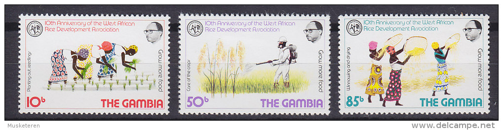 Gambia 1981 Mi. 427-29 10 Jahre Westafrikanische Reisanbauvereinigung Complete Set MNH** - Gambia (1965-...)