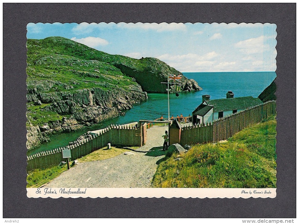 TERRE-NEUVE & LABRADOR - NEWFOUNDLAND - QUIDI VIDI BATTERY HISTORIC SITE - BY TOOTON´S STUDIO - Autres & Non Classés