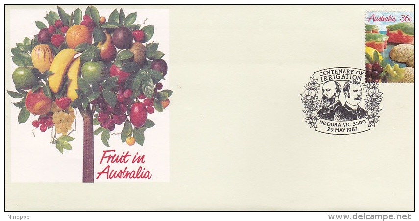 Australia 1987 Centenary Of Irrigation Postmark - Bolli E Annullamenti