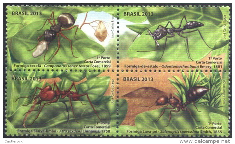 RO) 2013 BRAZIL, ANTS, INSECTS, HABITAT, SET MNH - Neufs