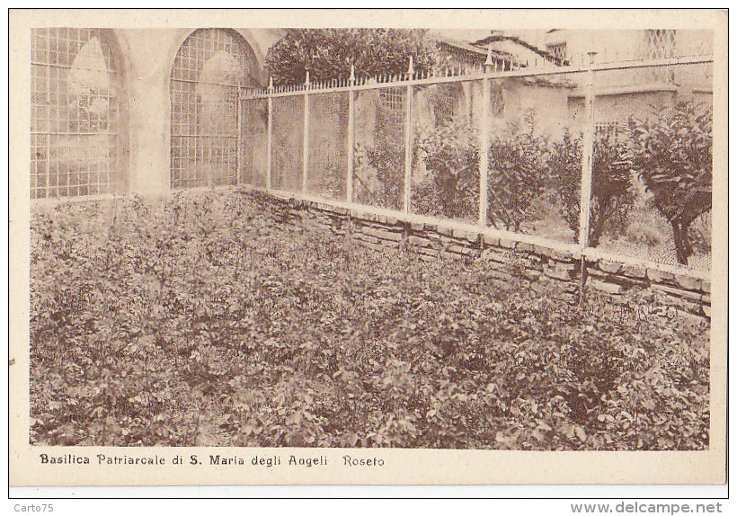 Agriculture - Culture Jardin - Roses - Roseraie - Cultures