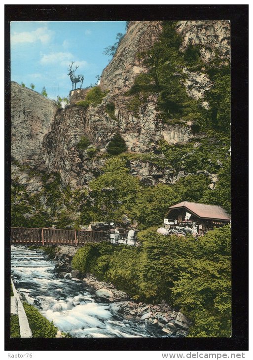 CPM Neuve Allemagne HINTERZARTEN Hollental Im Südl. Schwarzwald Hirschsprung - Hinterzarten