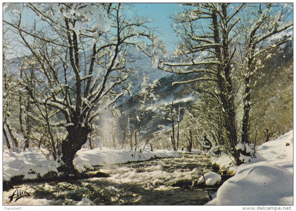 Cp , RÉGIONS , MIDI-PYRÉNÉES , Le Torrent Dans La Neige - Midi-Pyrénées