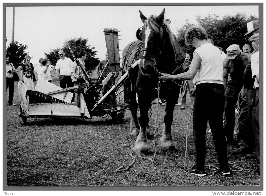 Creney  - Aube - Moisson En 1988 - Animée - Carte Moderne - Troyes