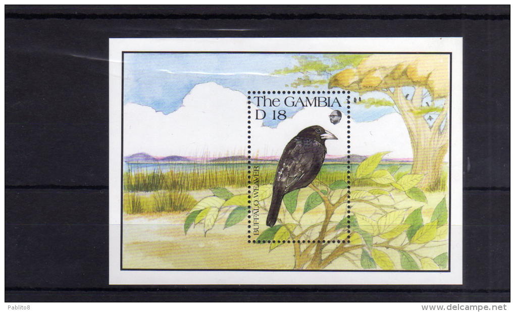 GAMBIA 1989 BIRDS FAUNA BUFFALO WEAVER BIRD SOUVENIR SHEET UCCELLI UCCELLO BUFALO FOGLIETTO MNH - Gambia (1965-...)