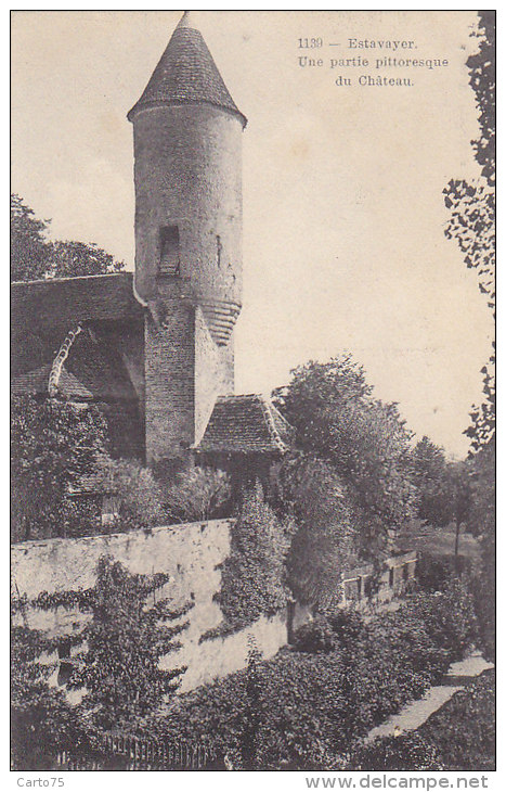 Suisse -  Estavayer -  Partie Pittoresque Château - Postmark 1911 - Estavayer