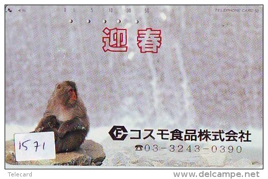 Télécarte Japon *  110-439 * TELECA * PHONECARD JAPAN * TELEFONKARTE (1571) PRIVATE  * SINGE * MONKEY - Japan