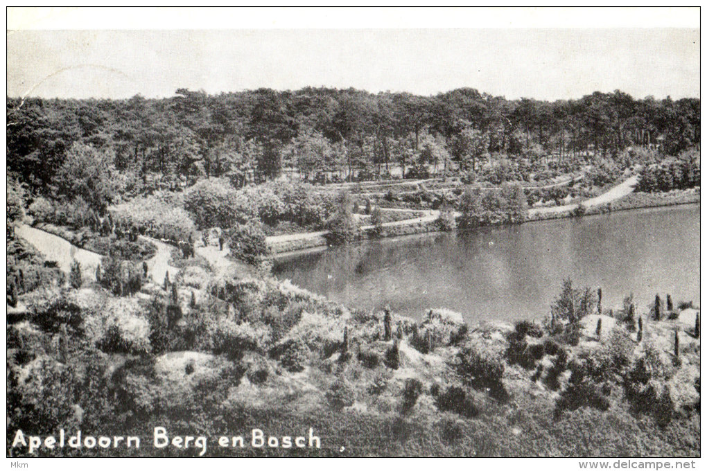 Berg En Bos Vijver - Apeldoorn