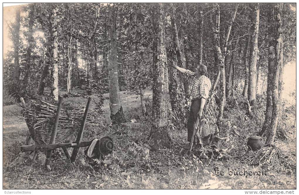 Thème  Métier Du Bois   Un Bucheron En Forêt  (voir Scan) - Artigianato