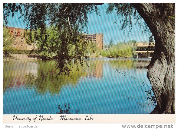 University Of Nevada Manzanita Lake Reno Nevada - Reno