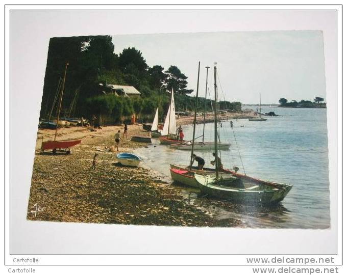 Lot 361 -1- Carte Postale  Arradon La Plage De La Carriére  ( La Pointe ) Et L´école De Voile - Arradon