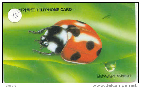 Ladybird Coccinelle Lieveheersbeestje Insect (15) - Mariquitas