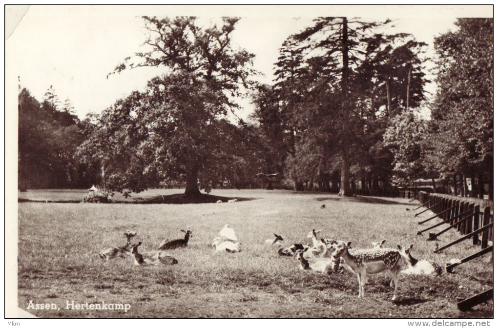 Hertenkamp - Assen