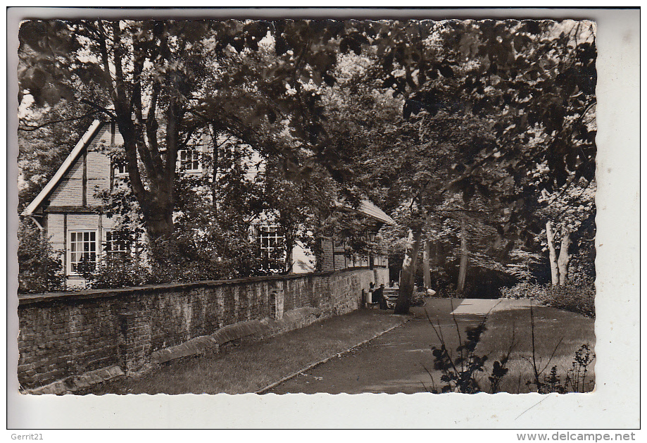 4450 LINGEN, Heimatmuseum, 1959 - Lingen