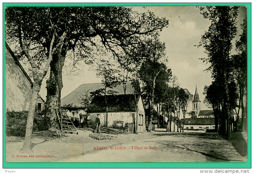 Mesnil Saint Loup  -  Aube -  Tilleul De Sully -  Animée - - Marcilly