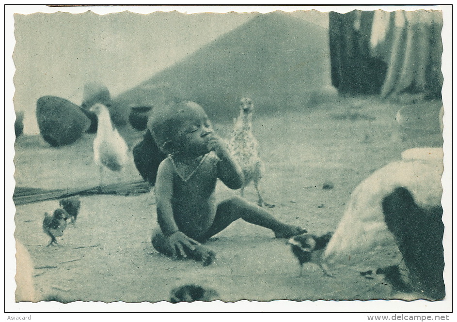 La Vie Est Belle Dahomey Enfant Au Milieu Des Poules Missions De Lyon 1954 - Dahomey