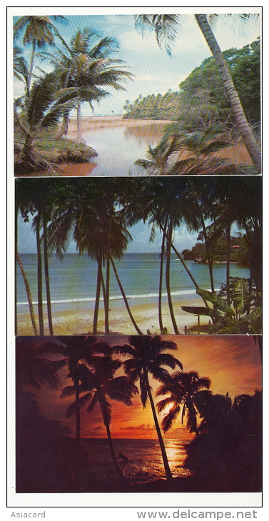 Lot Of 7 Cards Flamboyant Deutsch Car Steel Band Balandra Mayaro - Trinidad