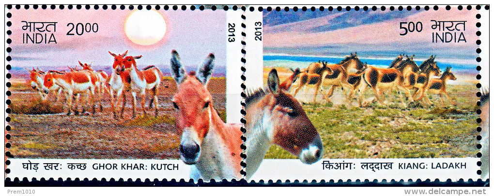 INDIA- 2013 WILD ASSES OF LADAKH & KUTCH- FDC M/S + MNH SET COMBO OFFER - Anes