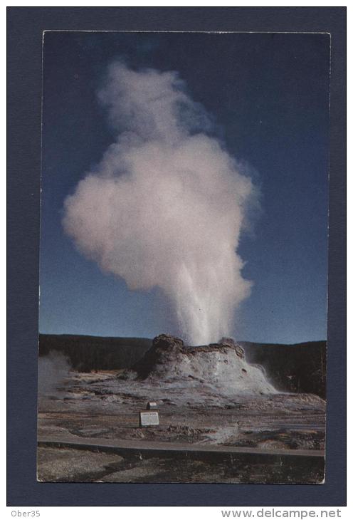 Yellowstone National Park Castle Geyser - Yellowstone