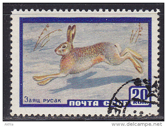 Russia USSR 1960 Animals, Used (o) - Gebraucht