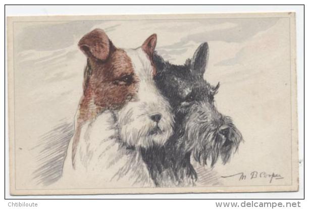 ANIMAUX / L 2 CHIEN  /  DOG    ILLUSTRATEUR  SIGNE COOPER    "   "   CPA 9 X 14 - Honden