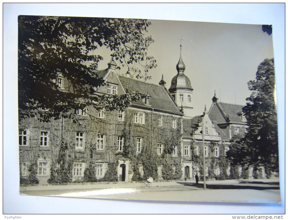Germany: RIESA - Rathaus - 1956 Unused - Riesa