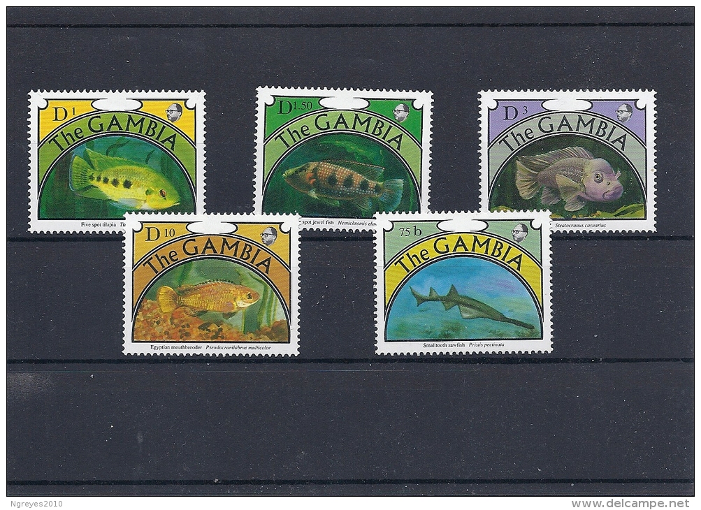 131008790   GAMBIA   YVERT    Nº   1052/6  **/MNH - Gambia (1965-...)