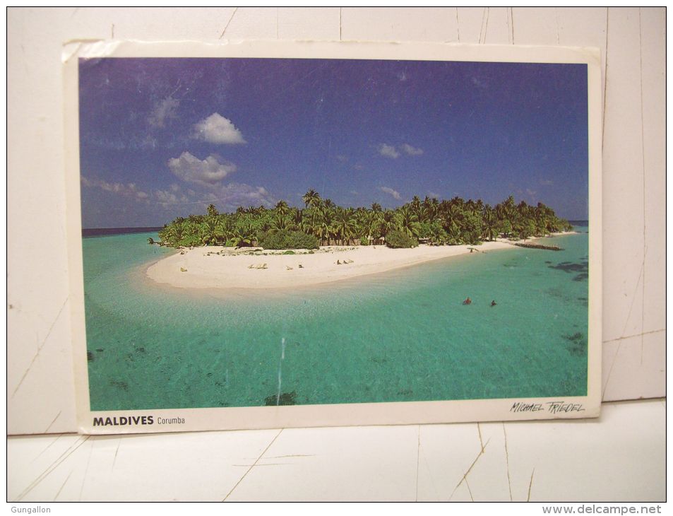 Corumba (Maldive) - Maldiven