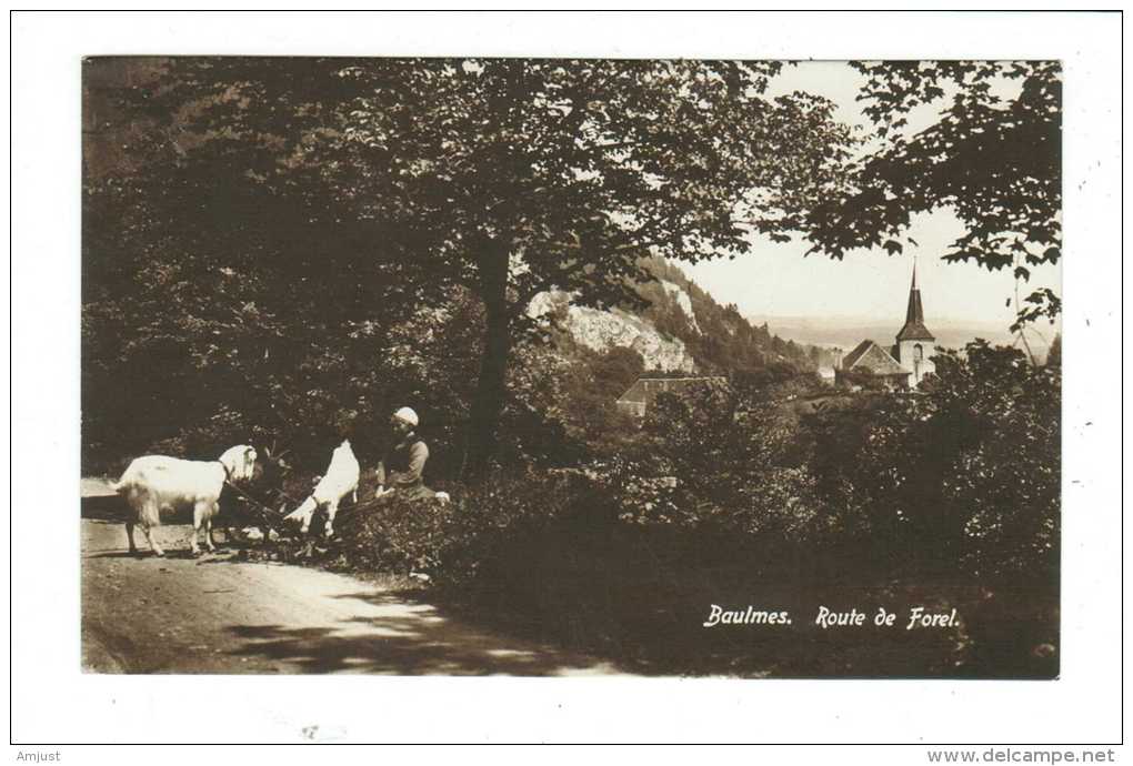 Suisse // Vaud // Baulmes, Route De Forel - Baulmes