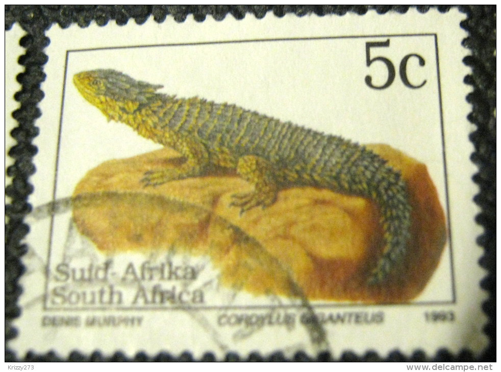 South Africa 1993 Cordyllus Giganteus 5c - Used - Oblitérés