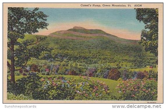 Vermont Green Mountains  Camels Hump - Rutland