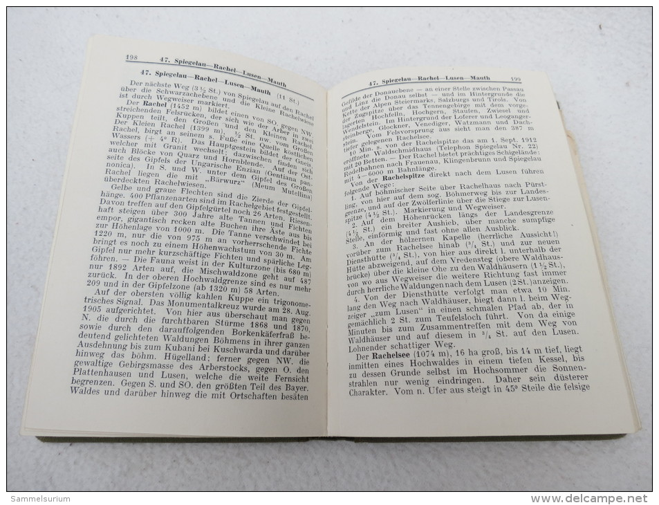 J. Mayenberg "Führer Durch Den Bayerischen Wald" Mit Landkarten, Von 1927 - Bayern