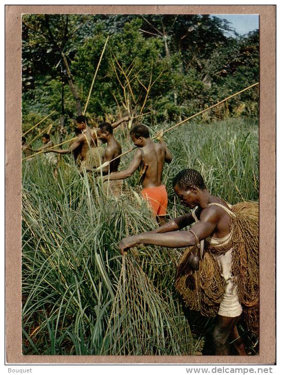 AFRIQUE EN COULEURS - CPM - 4277 - CHASSEURS AFRICAINS - éditeur HOA-QUI - Non Classés