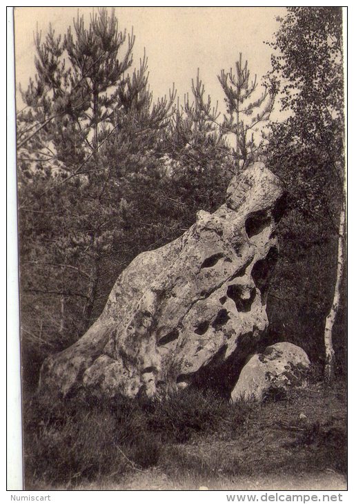 Dolmens..Menhirs..la Dame Du Mont Ussy..Fontainebleau - Dolmen & Menhirs