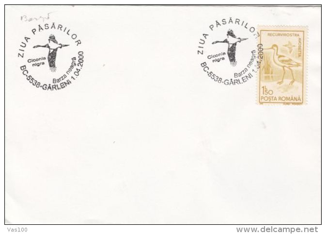 BIRDS, BLACK STORK, SPECIAL POSTMARK ON COVER, 2000, ROMANIA - Storks & Long-legged Wading Birds