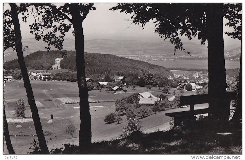 Suisse - Aeschi Thunersee - Panorama - Postmark - Aeschi Bei Spiez